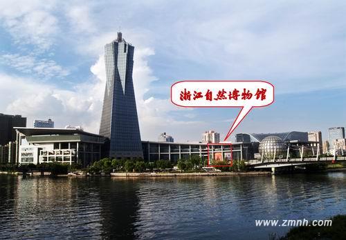 外景照片