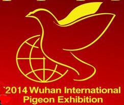2014第四届中国·武汉国际信鸽展