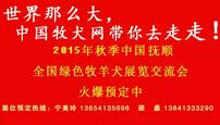 2015秋季中国牧犬网全国大型绿色牧羊犬展览交流会