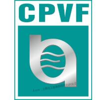 （延期）CPVF2021 第十三届上海国际化工泵、阀门及管道展览会