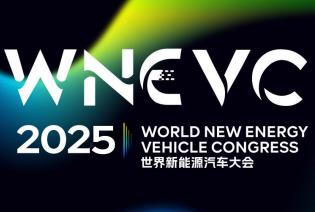 2025第七届世界新能源汽车大会