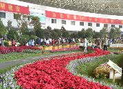 2014第12届中国（合肥）苗木花卉交易大会