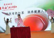 2015第八届中国武汉茶业博览交易会春季展