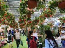 2016第十八届中国国际花卉园艺展览会