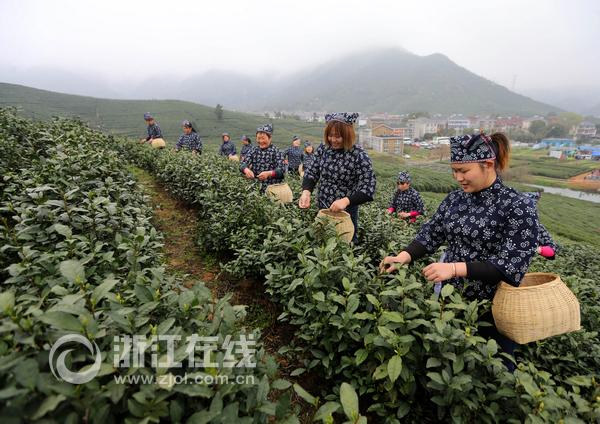 2015中国（杭州）西湖国际茶文化博览会开幕