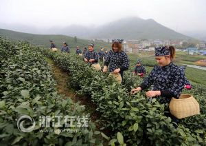 2015中国杭州西湖国际茶文化博览会开幕