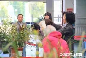 2015嘉兴兰花博览会暨春季花卉展销会馨香开展