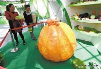 第十六届中国（寿光）国际蔬菜科技博览会开幕[图]
