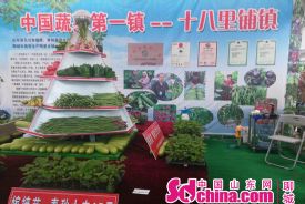 第四届莘县瓜菜节暨莘县瓜菜菌博览会开幕