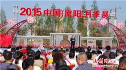 第十二届玉雕节暨国际玉文化博览会南阳开幕