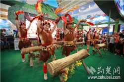 第八届华中旅游博览会现场精彩表演 乐趣多多(图)