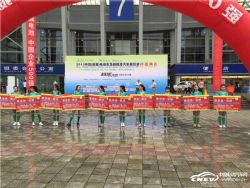 东三省最专业的新能源汽车展览会613与您相约沈阳