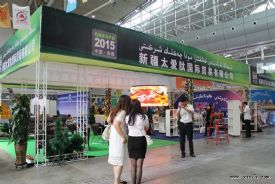 第二届中国·新疆亚欧金桥国际博览会今日开幕
