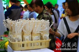 第二届汉江流域农业博览会在湖北襄阳开幕(图)
