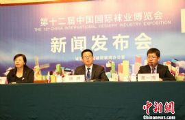 第十二届国际袜博会将在大唐镇开幕