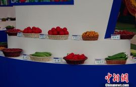 第六届中国四川蔬菜博览会开幕 蔬菜“插花”扯眼球