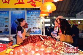 2015黑龙江餐饮博览会打造“龙菜阅兵式”