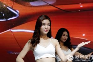 2016海峡西岸汽车博览会：赏海西汽博车模美女