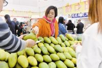 天津：食品博览会开幕 汇聚众多国内外知名品牌食品