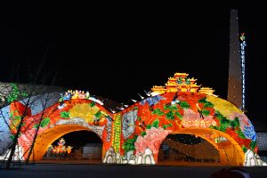 北京新春灯会2017强势回归 大年初二正式开幕