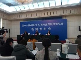 第十八届寿光蔬菜博览会20日举行 2000余种蔬菜参展