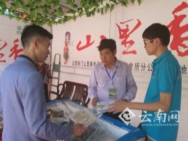 玉溪易门：第十三届中国野生食用菌交易会启幕